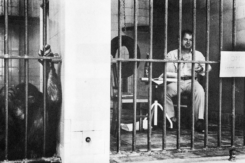 Pimenta, Alberto. Bestiário lusitano. Lisboa. Appia, 1980