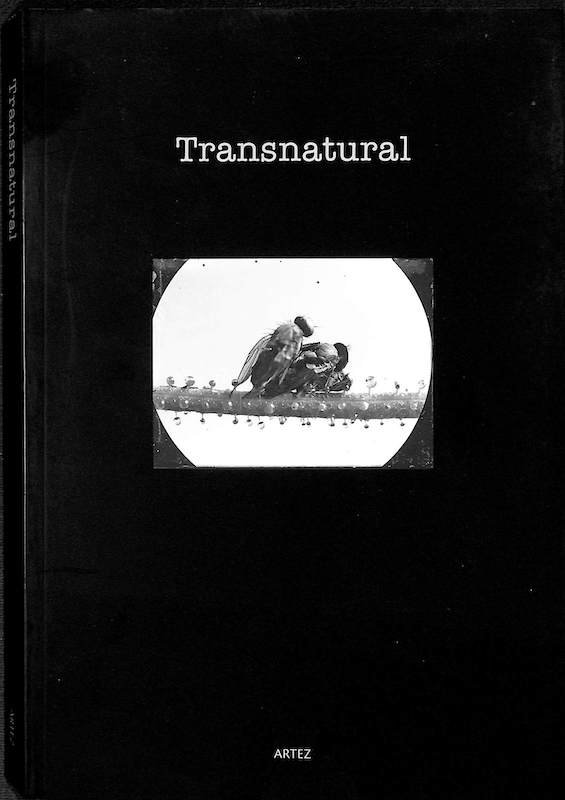 Bernaschina, Paulo, Transnatural, Universidade de Coimbra, Coimbra, Artez, 2006