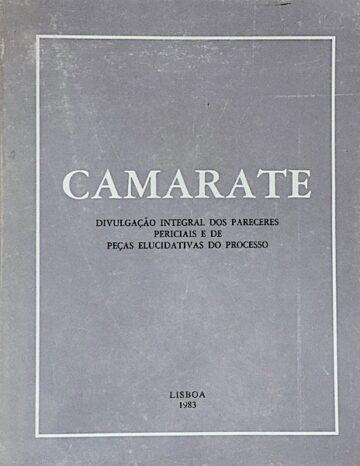 Camarate, Divulgação integral dos pareceres periciais e de peças elucidativas do processo