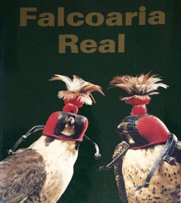 Falcoaria real