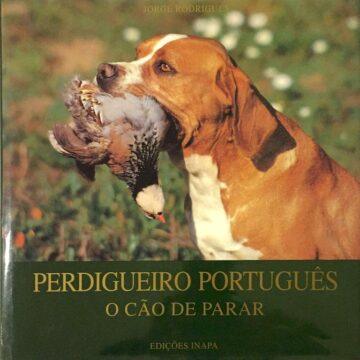 Perdigueiro português: o cão de parar