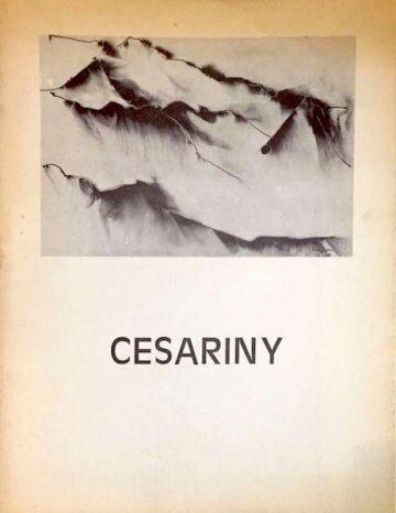 Cesariny, Catálogo de Exposição