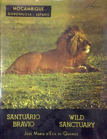 Santuário Bravio- os animais surpreendentes da Gorongosa e safaris em Moçambique
