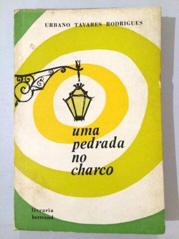 Uma pedrada no charco