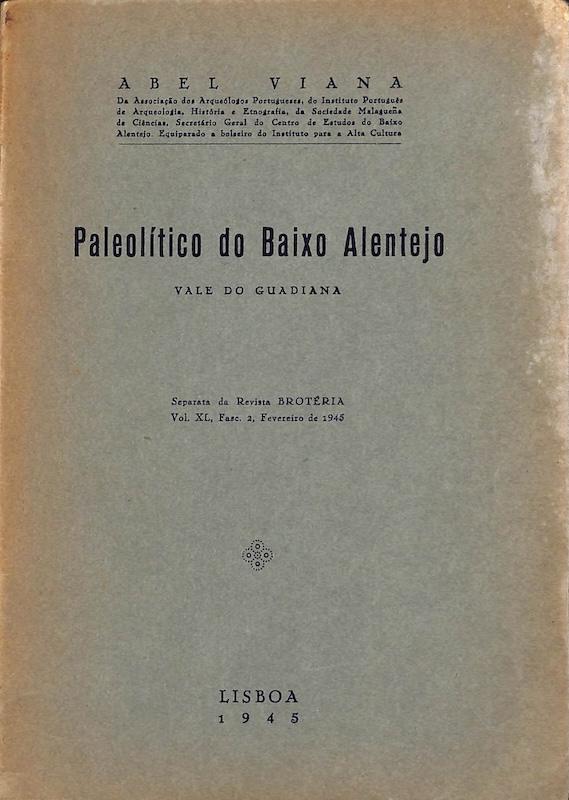 Paleolítico do Baixo Alentejo: vale do Guadiana