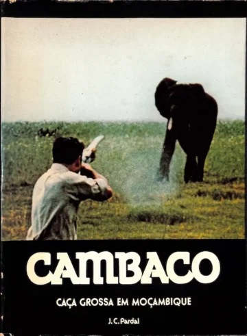 Cambaço, Caça Grossa em Moçambique