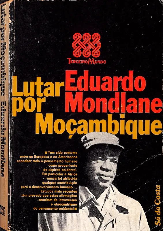 Lutar por Moçambique